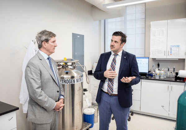 alt text description