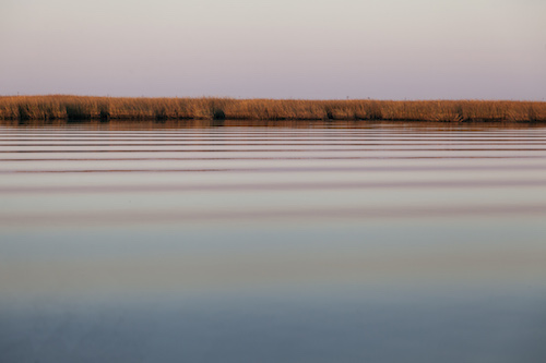 photo: coast line