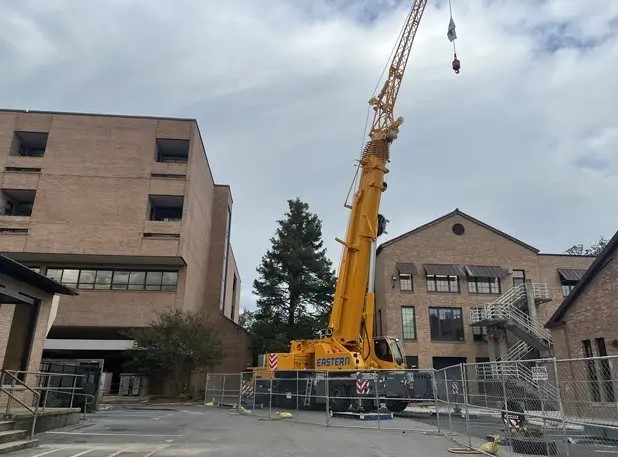 crane